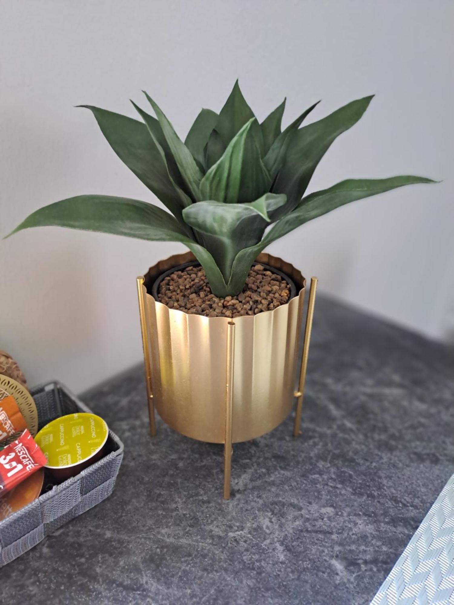 Apartment Emili *